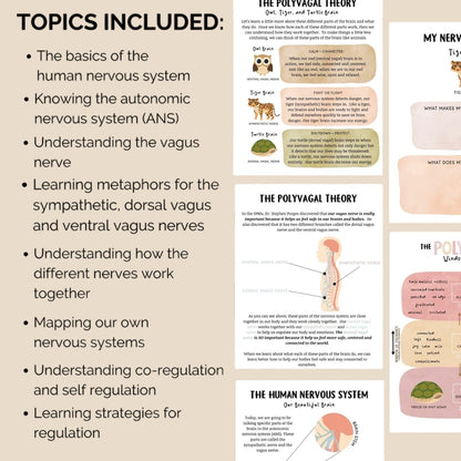 Nervous System Regulation for Kids, Distress Tolerance for Children, Emotional Regulation Skills, Polyvagal Theory, & Window of Tolerance