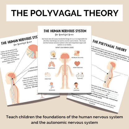 Nervous System Regulation for Kids, Distress Tolerance for Children, Emotional Regulation Skills, Polyvagal Theory, & Window of Tolerance