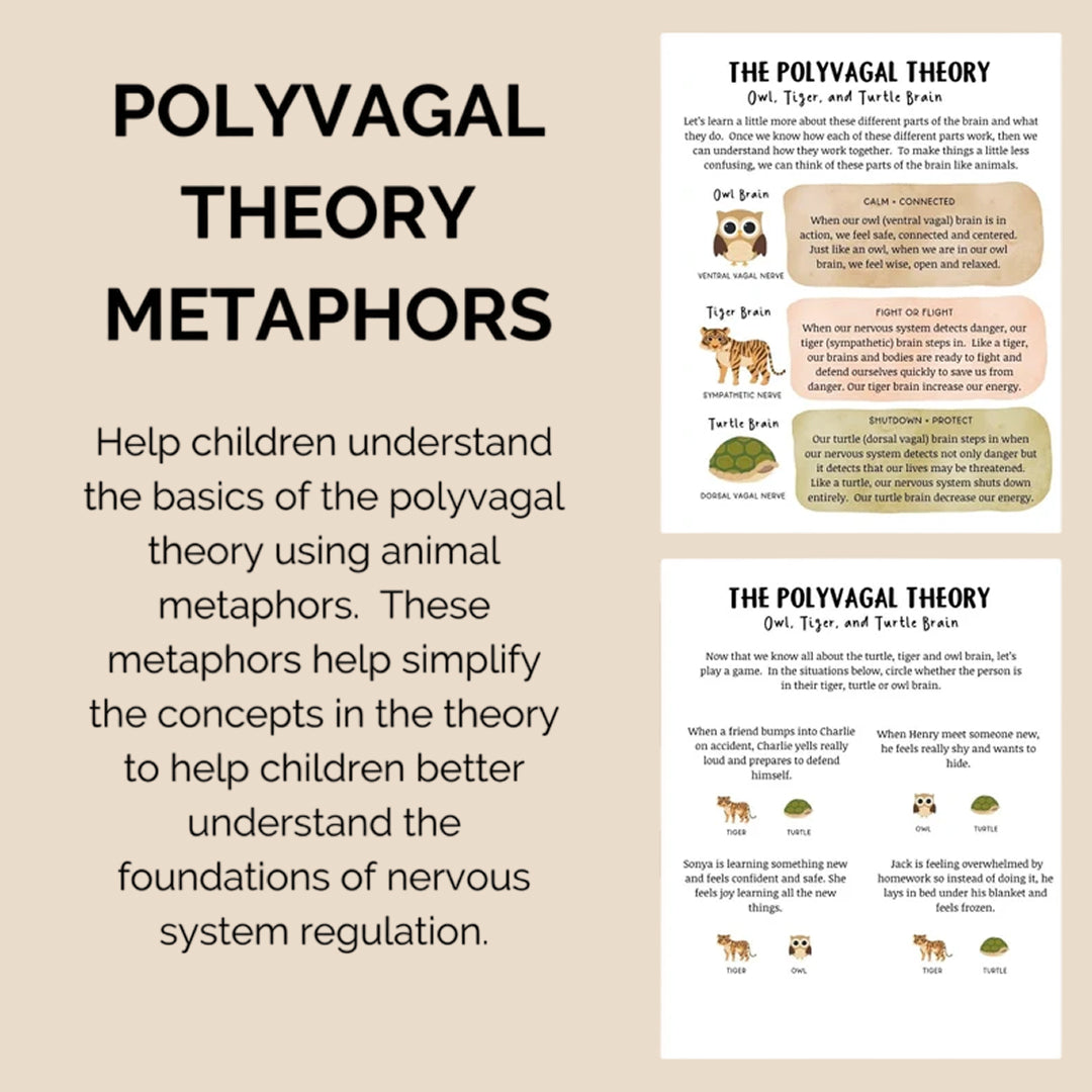 Nervous System Regulation for Kids, Distress Tolerance for Children, Emotional Regulation Skills, Polyvagal Theory, & Window of Tolerance