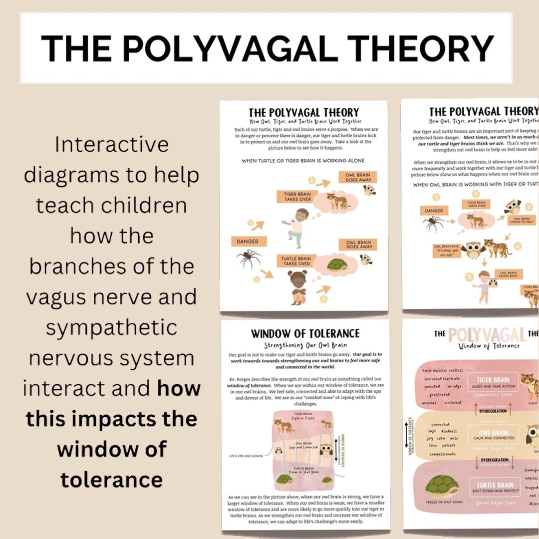 Nervous System Regulation for Kids, Distress Tolerance for Children, Emotional Regulation Skills, Polyvagal Theory, & Window of Tolerance