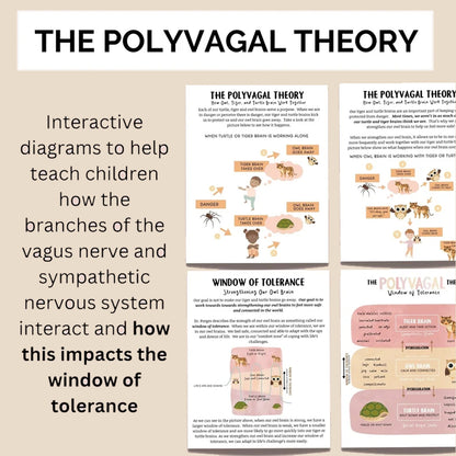 Nervous System Regulation for Kids, Distress Tolerance for Children, Emotional Regulation Skills, Polyvagal Theory, & Window of Tolerance