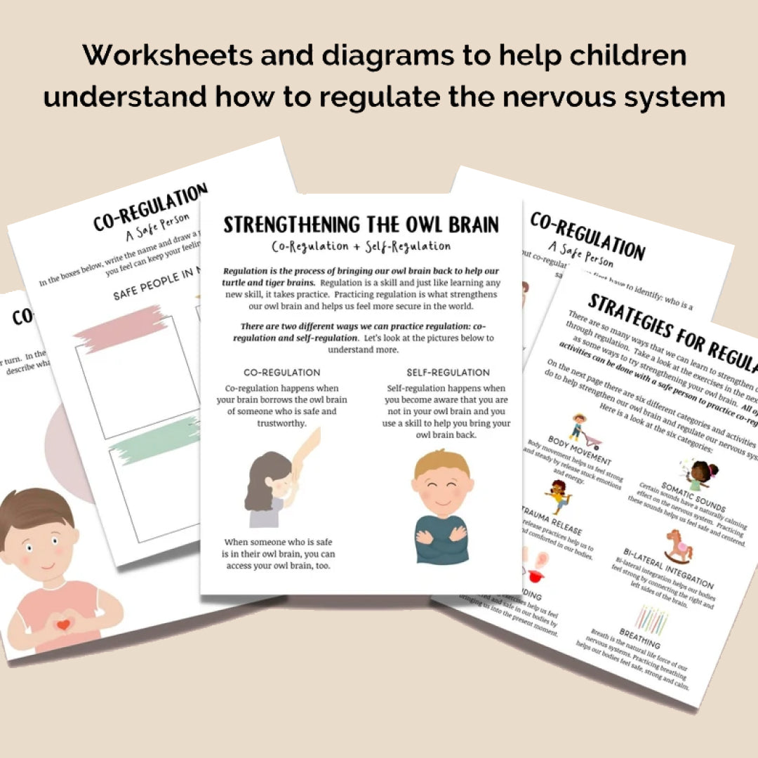 Nervous System Regulation for Kids, Distress Tolerance for Children, Emotional Regulation Skills, Polyvagal Theory, & Window of Tolerance